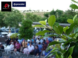 Pinturom Córdoba Evento-Procolor-Pinturom-Jardines-del-Naranjo-Córdoba-21